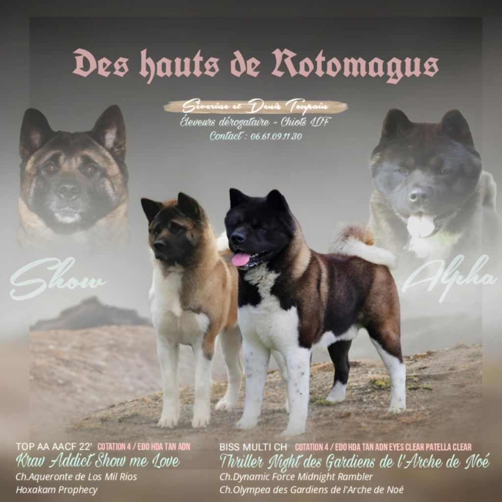 Chiots à venir